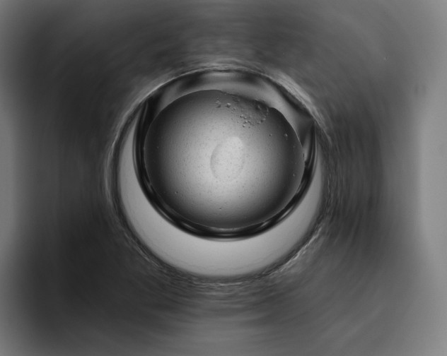 X0000094771269200711161348