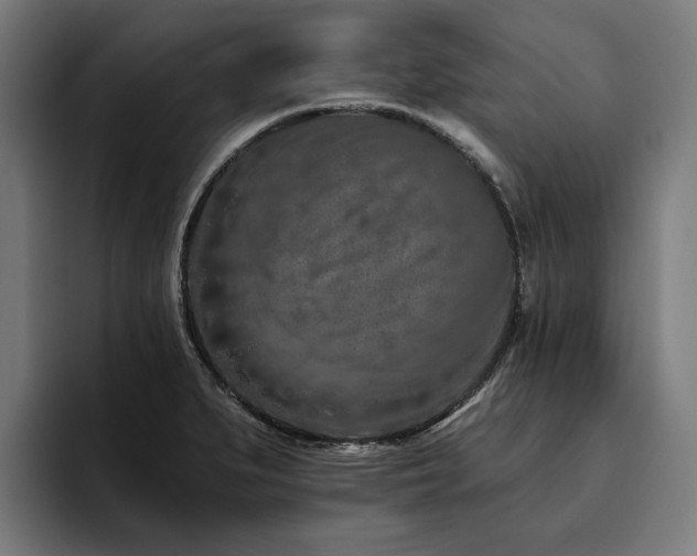 X0000094771279200711161348
