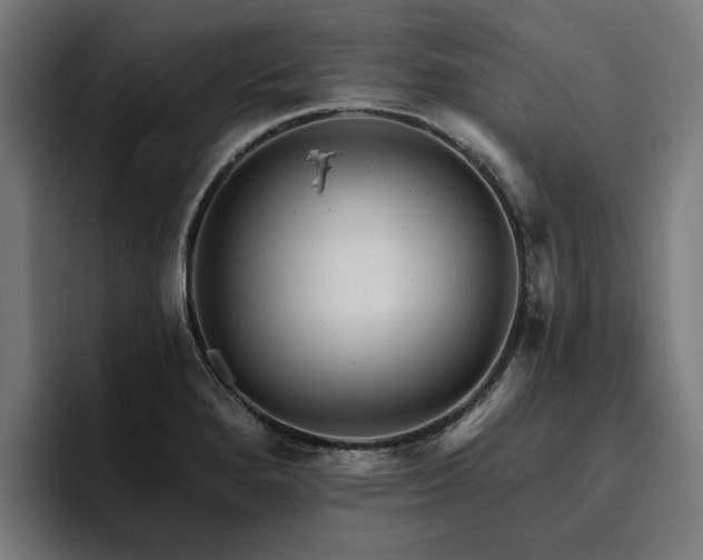X0000094771280200711161348