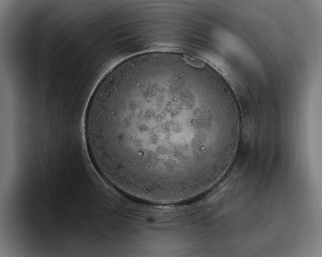 X0000094771283200711161348