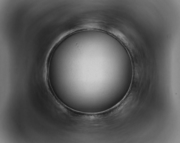 X0000094771286200711161348