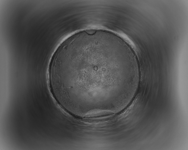 X0000094771287200711161348