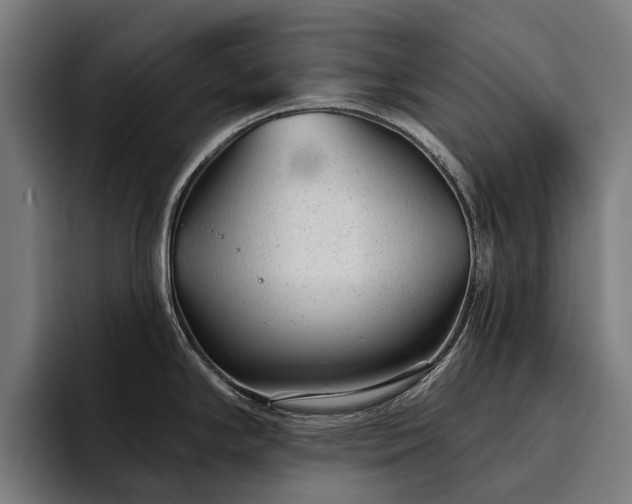 X0000094771294200711161348
