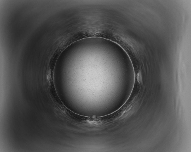 X0000094771299200711161347