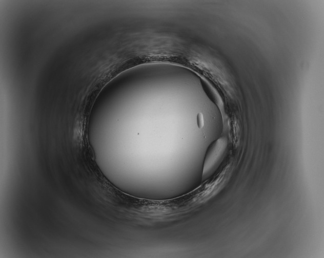 X0000094771300200711161347