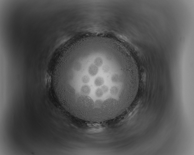 X0000094771302200711161347