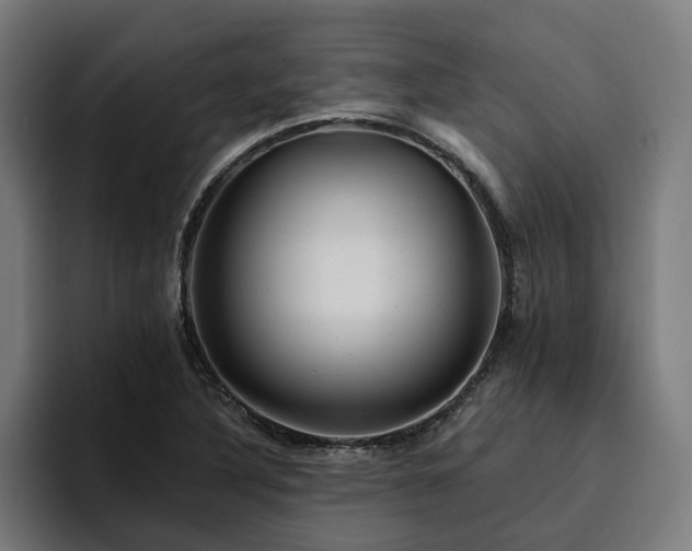 X0000094771316200711161348