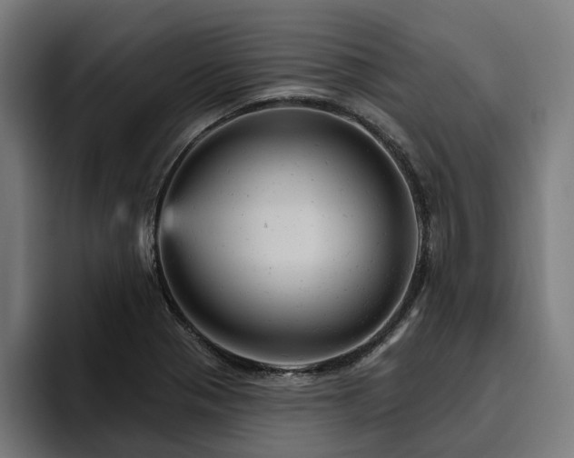 X0000094771321200711161348