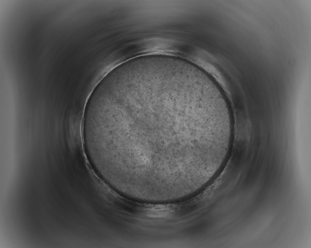 X0000094771338200711161348