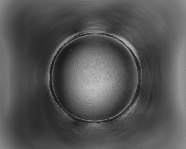 X0000094771341200711161348