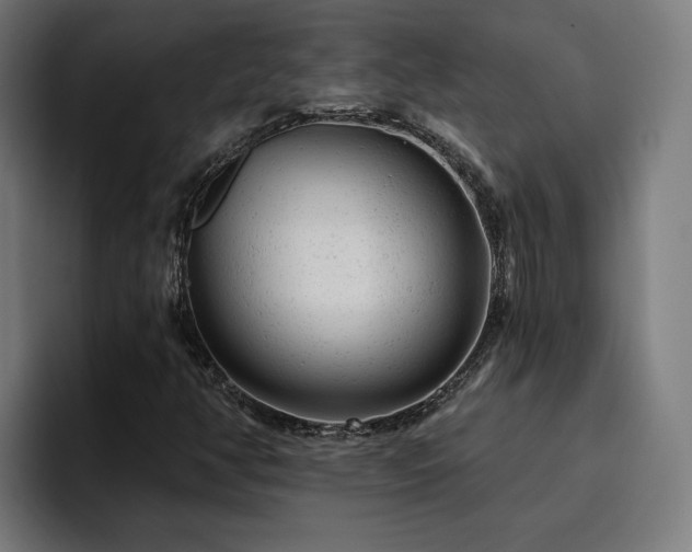 X0000094771350200711161347