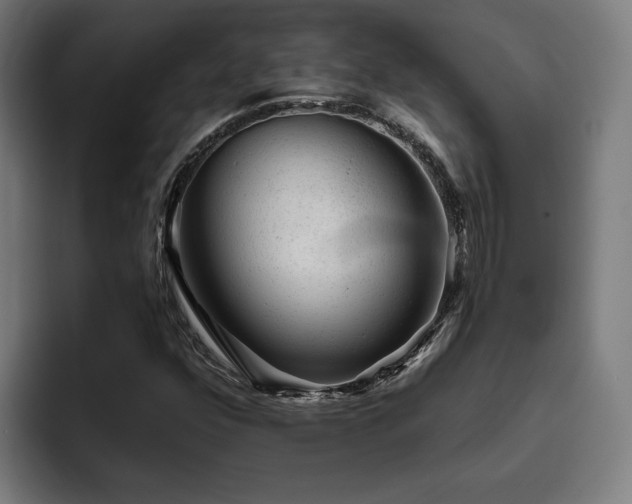 X0000094771352200711161347