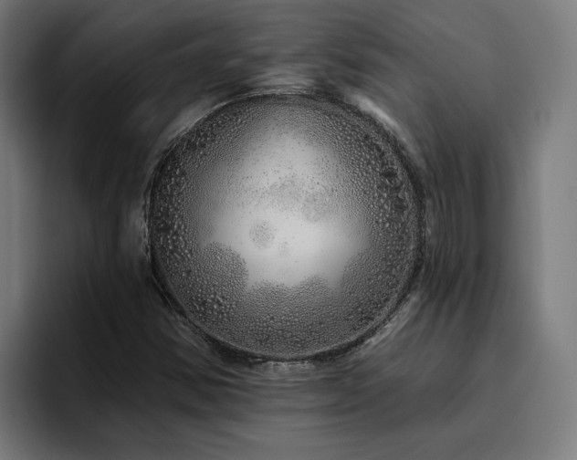 X0000094771354200711161347