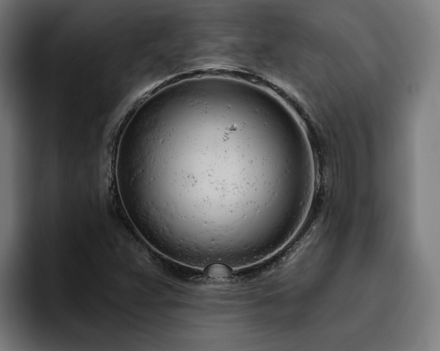 X0000094771359200711161347
