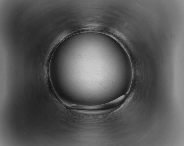 X0000094771362200711161347