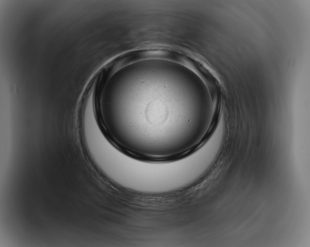 X0000094771364200711161347