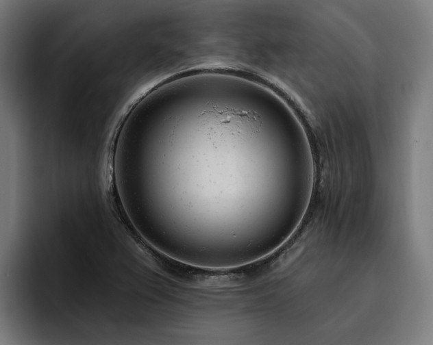 X0000094771367200711161347