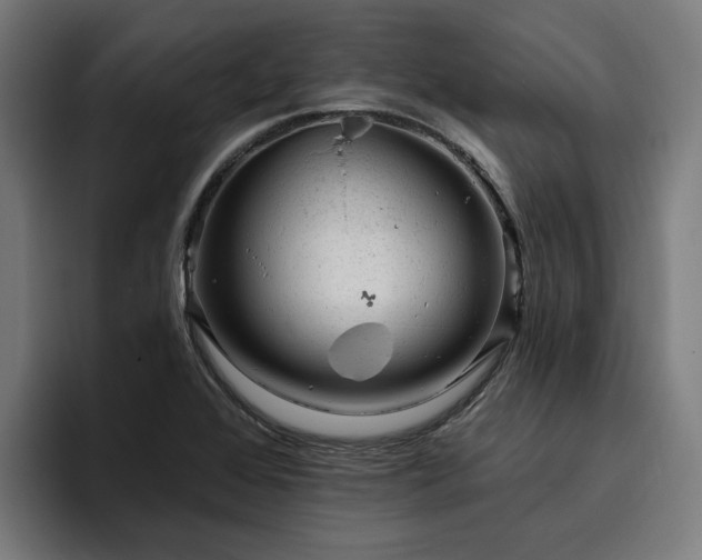 X0000094771368200711161347