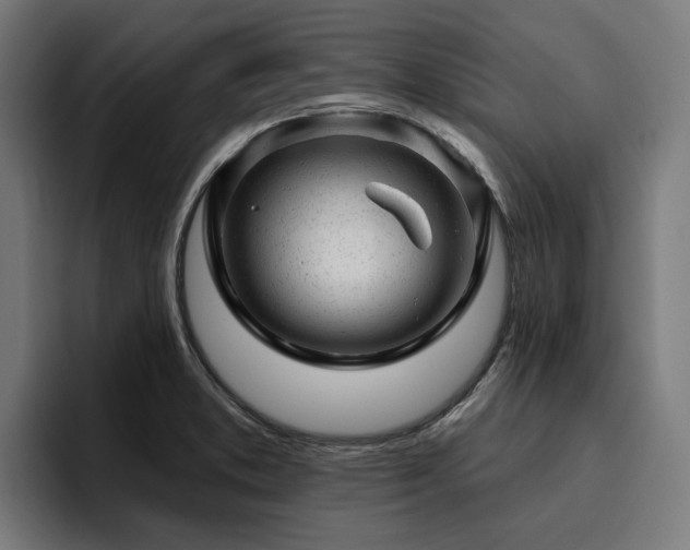 X0000094771373200711161347