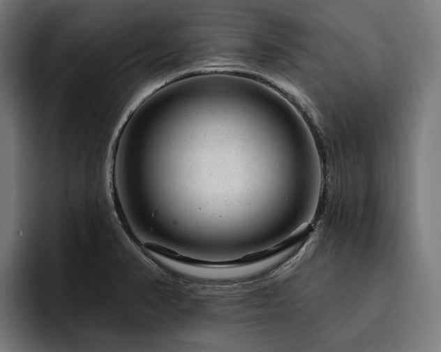 X0000094771374200711161347