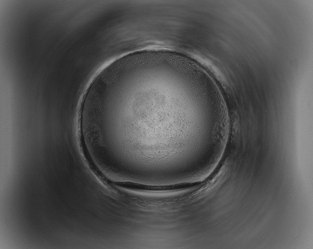 X0000094771375200711161347