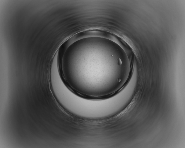 X0000094771377200711161347