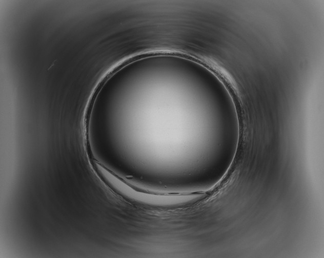 X0000094771380200711161347