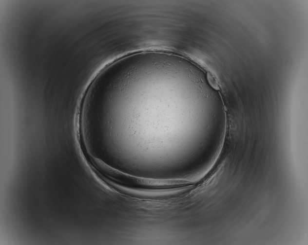 X0000094771383200711161347