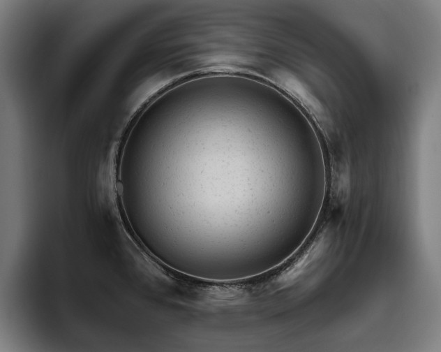 X0000094771384200711161347