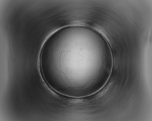 X0000094771387200711161347