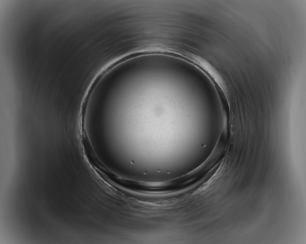 X0000094771388200711161347