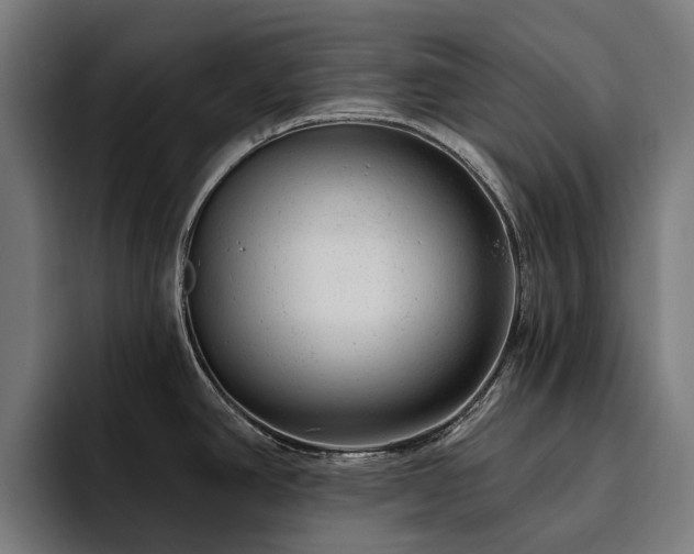 X0000094771390200711161347