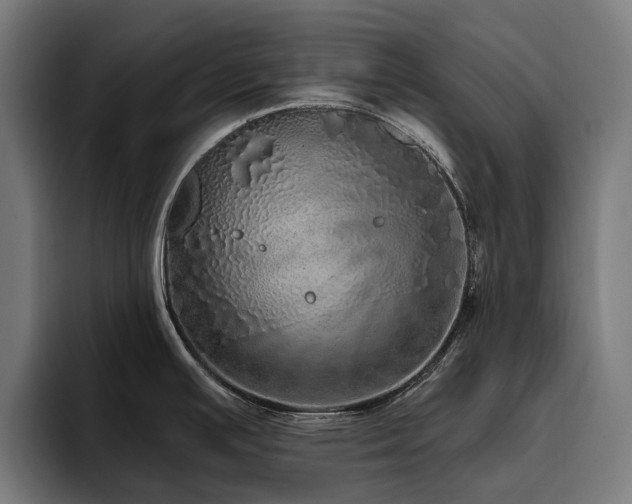 X0000094771391200711161347