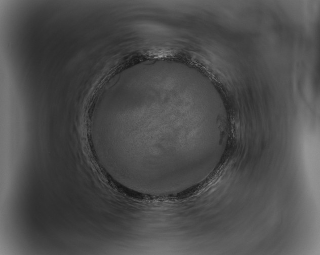X0000094771393200711161346