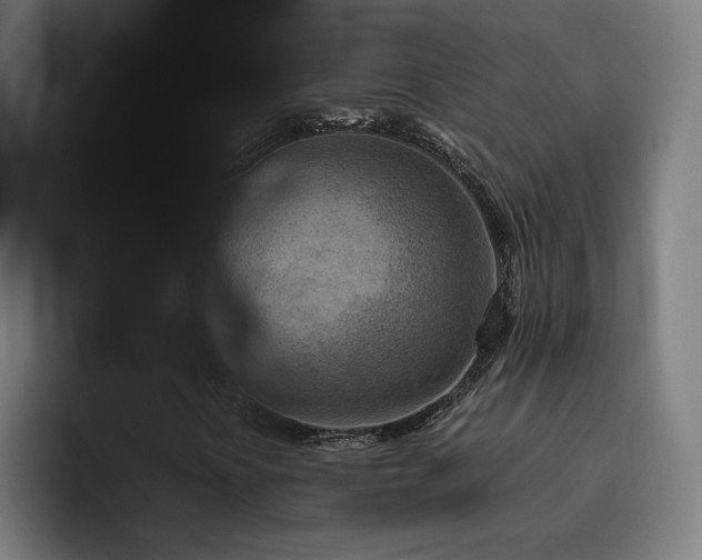 X0000094771394200711161346