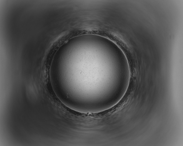 X0000094771398200711161346