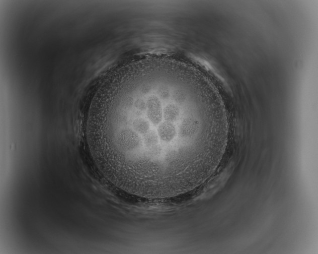 X0000094771399200711161346
