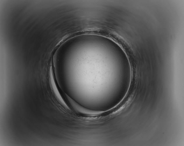 X0000094771401200711161346