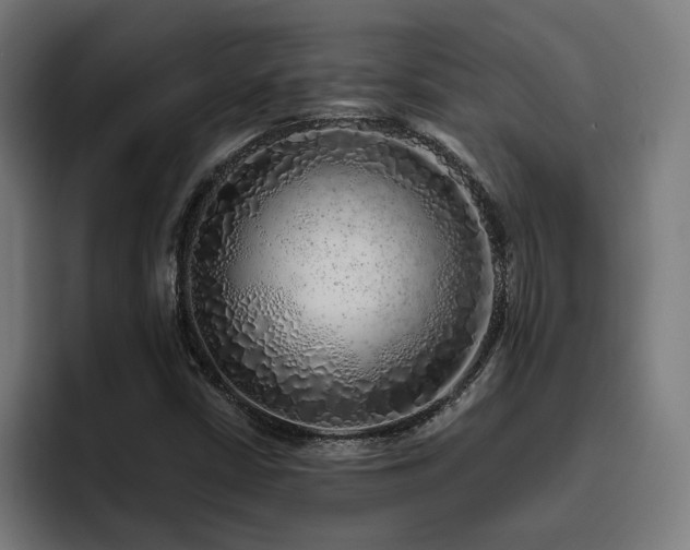 X0000094771402200711161346