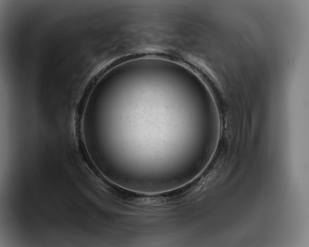 X0000094771404200711161346