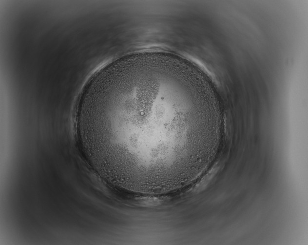 X0000094771405200711161346
