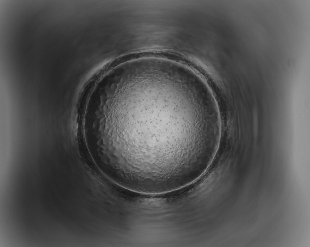 X0000094771406200711161346