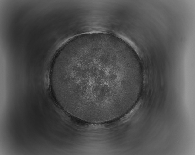 X0000094771407200711161346