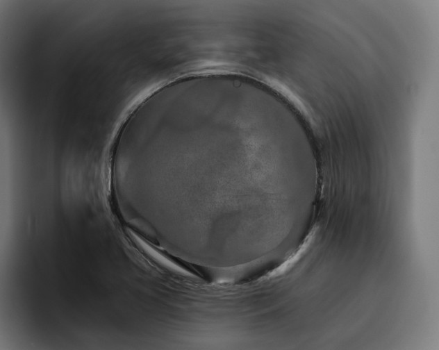 X0000094771413200711161346