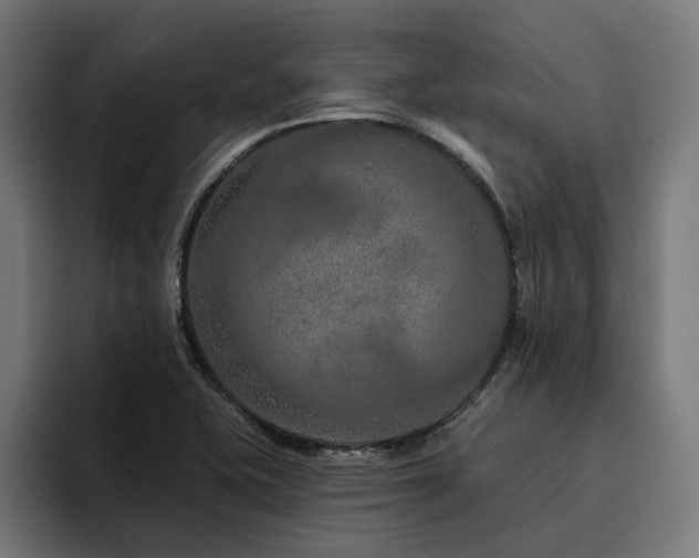 X0000094771415200711161346