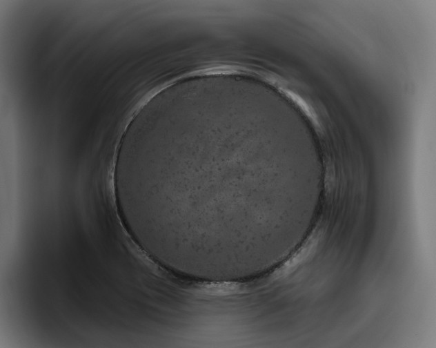 X0000094771417200711161346
