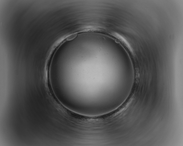 X0000094771419200711161346