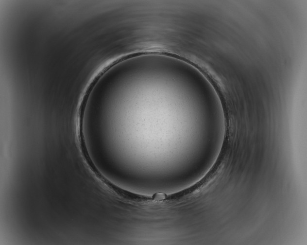 X0000094771424200711161347
