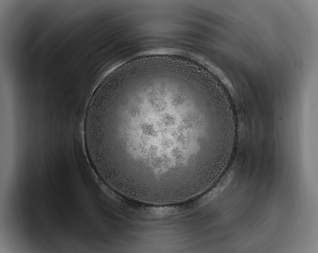 X0000094771425200711161347