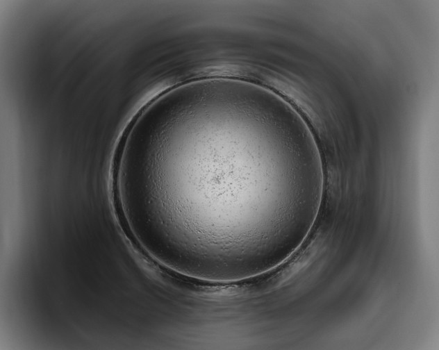 X0000094771426200711161347